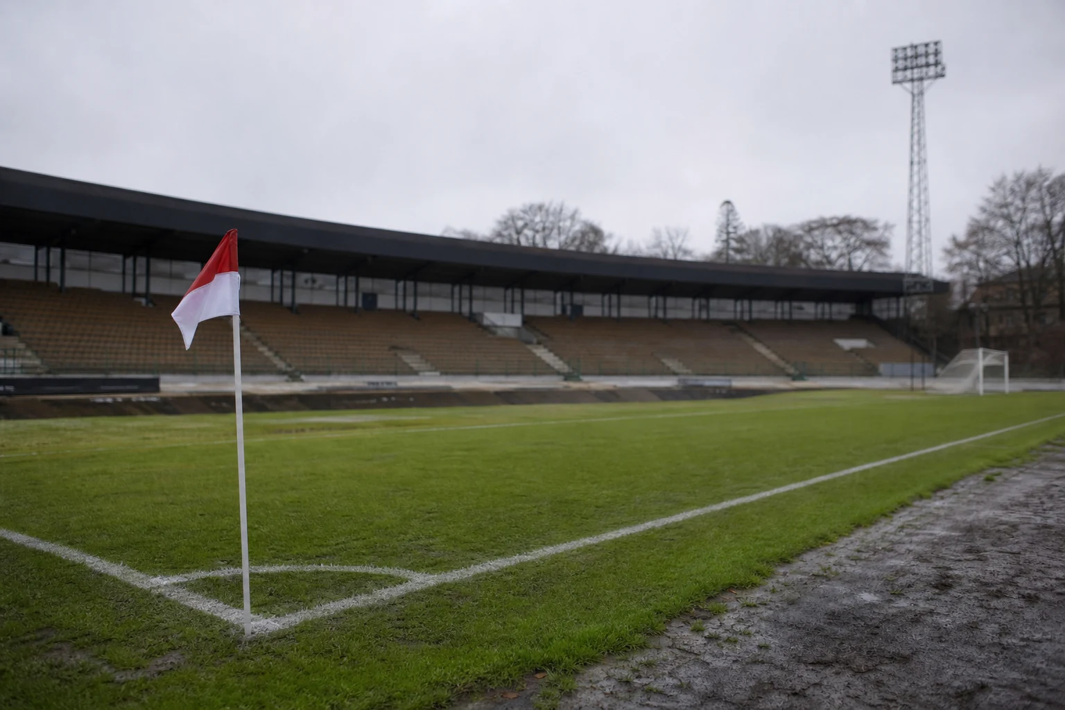 Fem Freiburg-spillere i VM: Manzambi leverte mål og assist